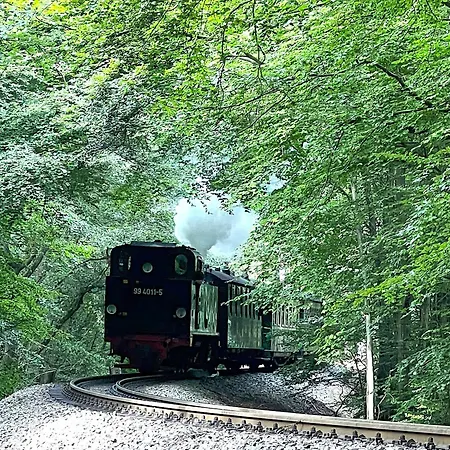 公寓 Stillvolle Nordperd Mit Sonnenterrasse Und Kaminofen